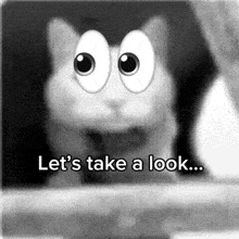 a black and white image of a cat with big eyes and the words let 's take a look