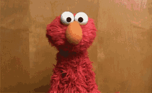 Im An Idiot Elmo GIF