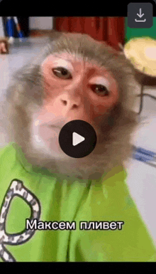 a video of a monkey wearing a green shirt is being played on a cell phone .