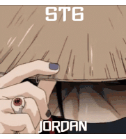 St6 Jordan Sticker