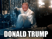 donald trump is sitting in a chair with a fur coat on