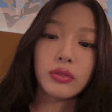 a close up of a woman 's face with long hair and pink lips