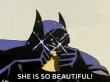 Batman Omg GIF - Batman Omg Beautiful GIFs