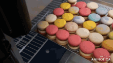 a bunch of macarons are stacked on top of each other with the words made in animatica visible