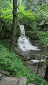 a waterfall is surrounded by trees and rocks in the woods