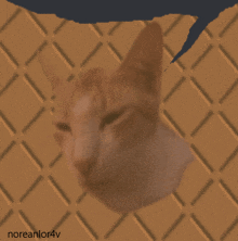 Cat In Sand GIF