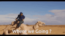 a man riding a camel in the desert with the words where we going