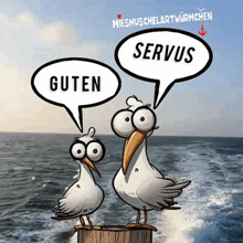 two seagulls are standing next to each other with speech bubbles that say guten and servus