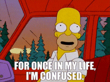 homer simpson from the simpsons says " for once in my life i 'm confused . "