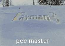 a cartoon character says pee master in front of a snowy mountain
