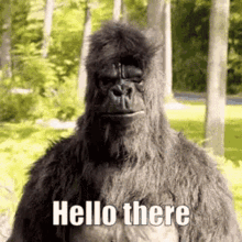 Degan Hello There GIF - Degan Hello There Gorilla GIFs