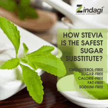 Stevia Sugar GIF