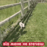 a picture of a pig in a field with the words " від мене не втечеш "
