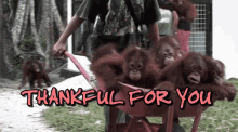 Thankful For You Cute Animals GIF - Thankful For You Cute Animals Thanks GIFs