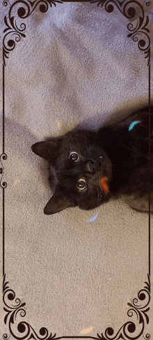 a black cat is laying on a blanket with a fancy frame around it