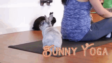 Yoga Bunny Yoga GIF