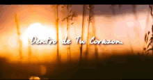 Sunset Dentro De Tu Corazon GIF - Sunset Dentro De Tu Corazon GIFs