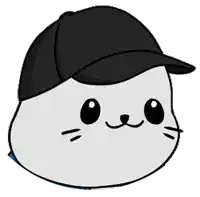 a white cat wearing a black baseball cap