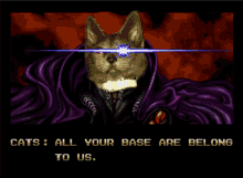 all your base are belong to us cats cat all your base meme