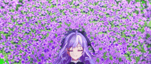 a girl with purple hair is standing in a field of purple flowers