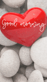 Good Morning Red Heart GIF - Good Morning Red Heart Gif GIFs