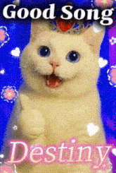 a cat with a crown on its head is giving a thumbs up with the words good song destiny below it