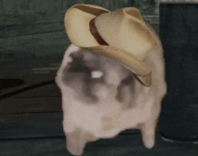 Cowboys Pug GIF