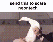 Neon Neontech GIF - Neon Neontech Haylup GIFs