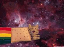 space cat flying happy rainbow
