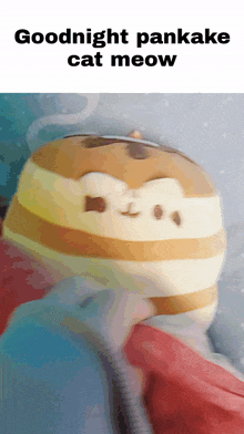 a person is holding a stuffed animal that says goodnight pancake cat meow on it