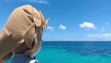 a stuffed animal is looking at the ocean