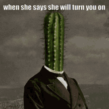 Cactus When She Says She Will Turn You On GIF - Cactus When She Says She Will Turn You On But Only Pisses You Off GIFs