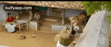 Stealing The Chicken!.Gif GIF