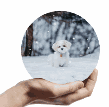winter snow animated sticker