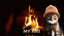 a cat is wearing a knitted hat in front of a fireplace .