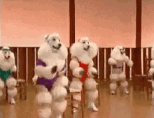 Dance Funny GIF - Dance Funny Moves GIFs