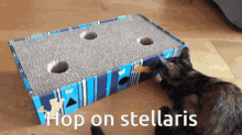 Hop On Stellaris Stellaris GIF - Hop On Stellaris Stellaris Hop On GIFs