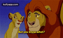 But You Know What?.Gif GIF - But You Know What? Mammal Animal GIFs