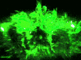 a green light is shining on a black background .