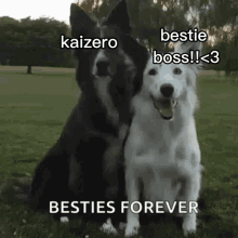 Kaizero And Bestie Boss GIF