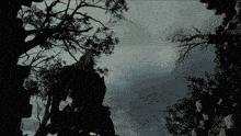 a silhouette of a person standing under a tree in the dark