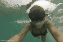 snorkel swimming swim water