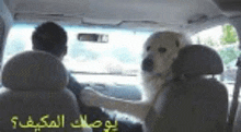 a man is driving a car with a dog sitting in the back seat .