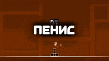 the word penis is on a dark brown background