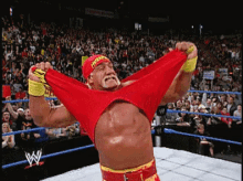 Streeeeeetch GIF - Hulk Hogan Hulk Excited GIFs