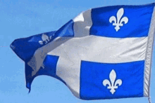 Quebec Flag Drapeau Quebec GIF - Quebec Flag Drapeau Quebec Fleurdelisé GIFs