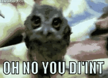 Oh No You Didnt GIF - Ohnoyoudidnt Owl Sassy GIFs