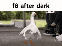 F8 Goose GIF - F8 Goose Silly Goose GIFs