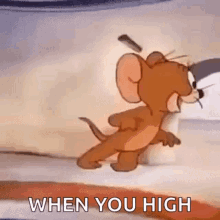 Tom And Jerry What GIF - Tom And Jerry What Insomnia GIFs