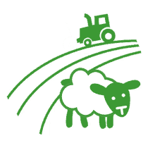 tractor sheep